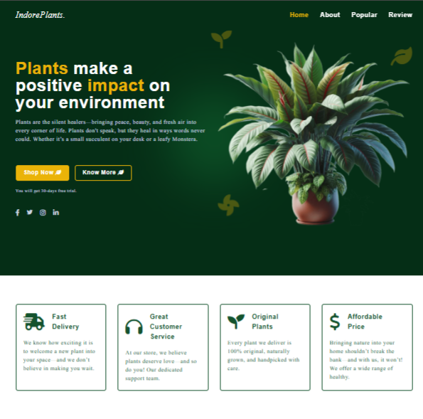 Online Store Project